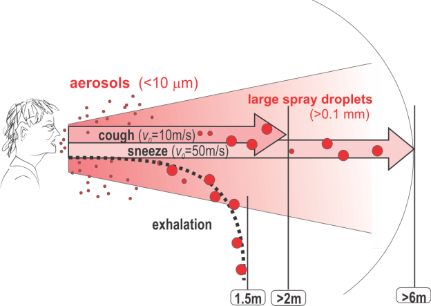 aerosol and droplet projection.png