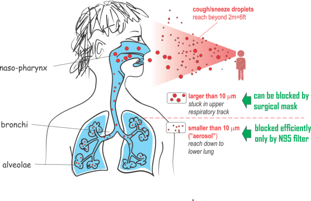 droplets vs aerosol.png