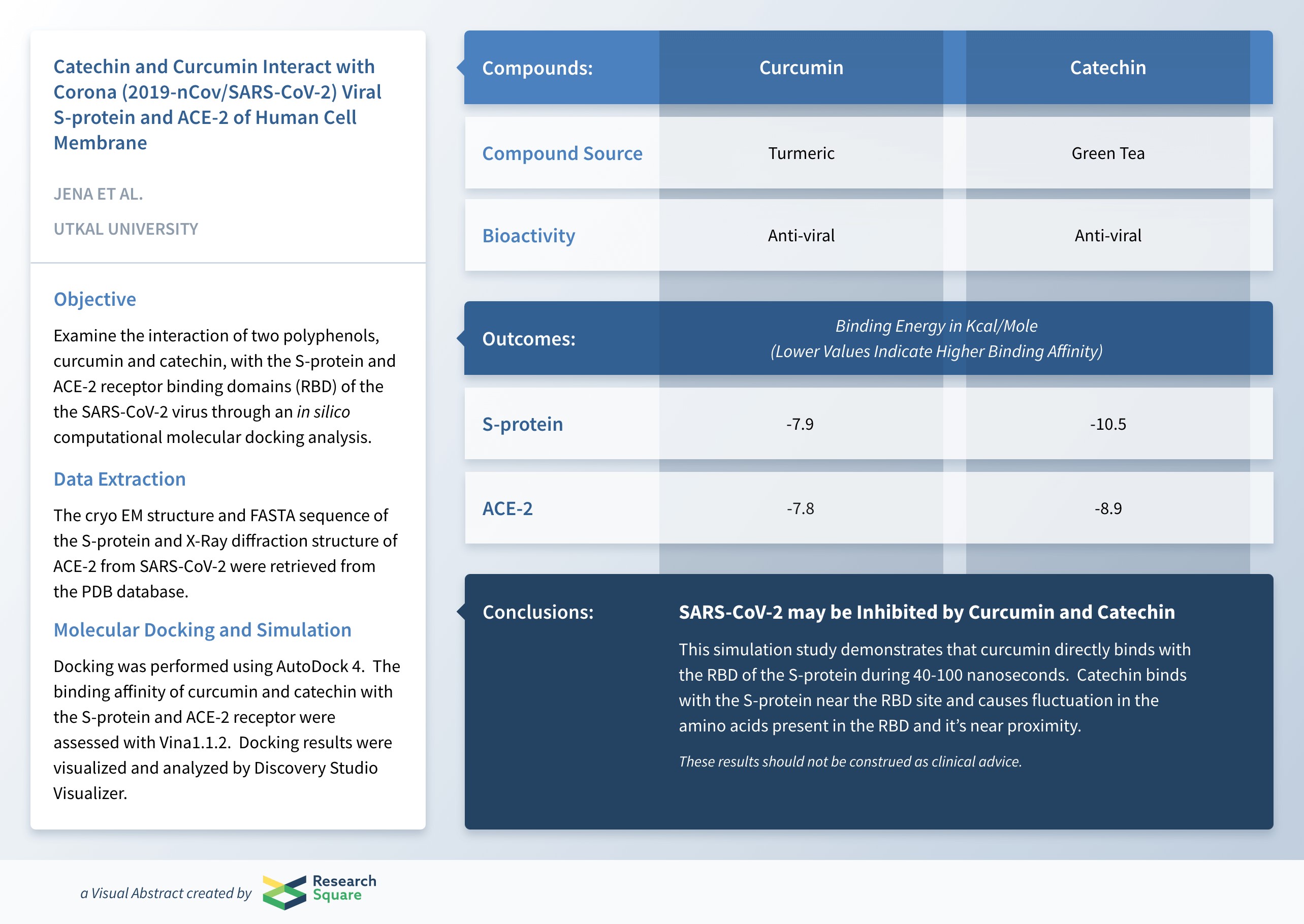 curcumin AND catechin bind COVID19 S protein and ACE-2