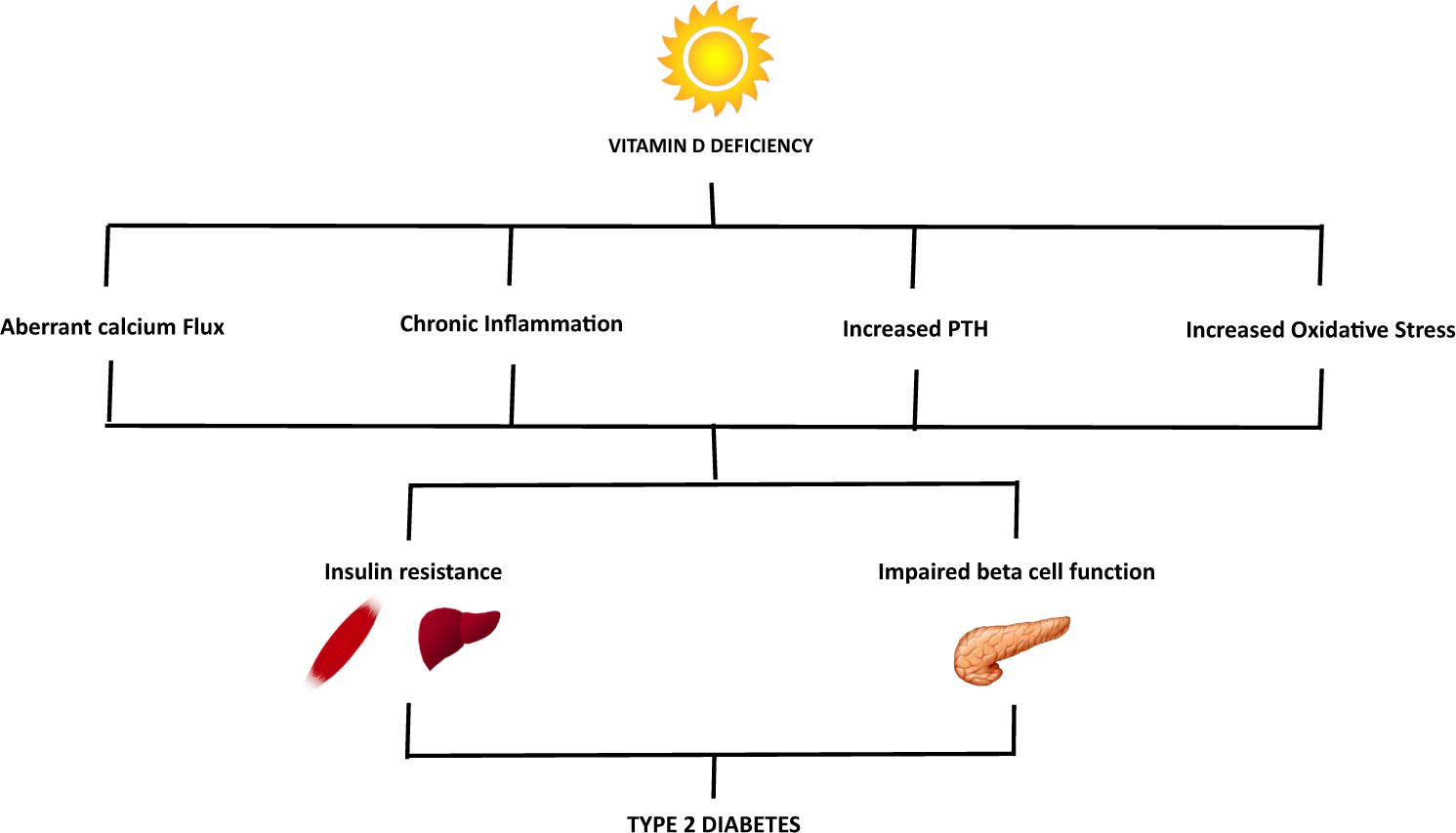 inflamation, PTH, Oxidative stress, calcium, IR, DM2.png